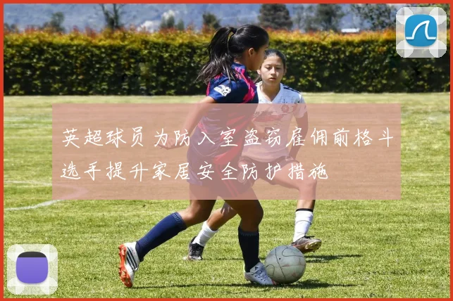 英超球员为防入室盗窃雇佣前格斗选手提升家居安全防护措施