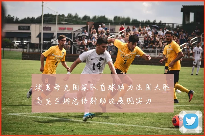 埃基蒂克国家队首球助力法国大胜乌克兰姆总传射助攻展现实力