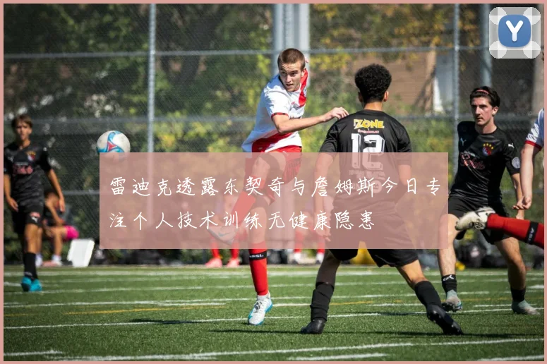 雷迪克透露东契奇与詹姆斯今日专注个人技术训练无健康隐患